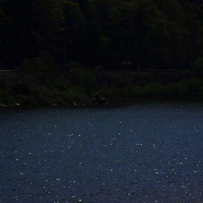 管家婆期期四肖四码中特管家下载手机版