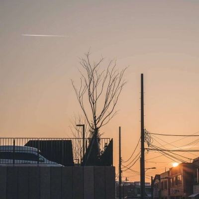 manbetx万博官网网页版